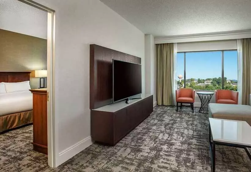 سوییت, Hilton Naples