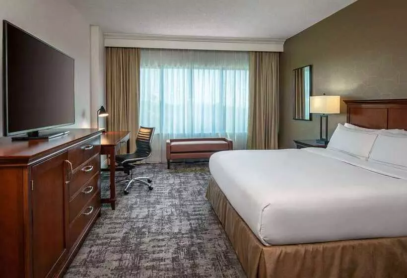 سوییت, Hilton Naples