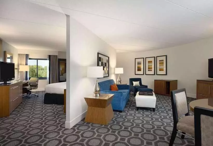 سوییت, Hilton Naples
