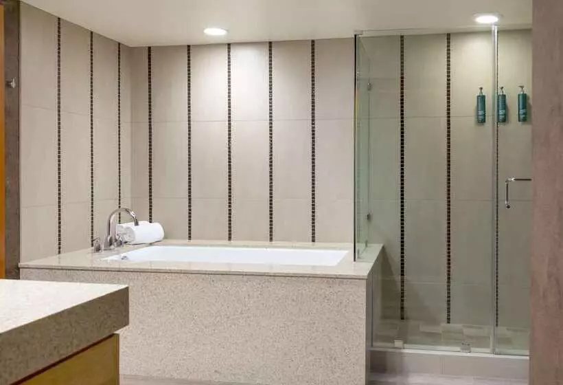 سوئیت با تخت بزرگ, Hilton Orange County/costa Mesa