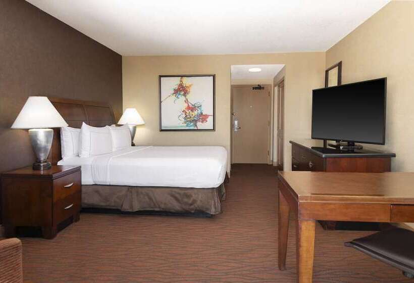 Номер Стандарт, Hilton Orange County/costa Mesa