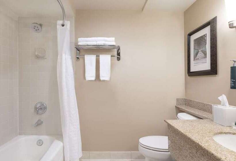 غرفة قياسية, Hilton Orange County/costa Mesa