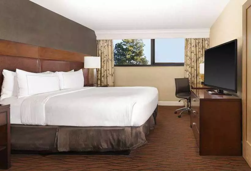 سوئیت با تخت بزرگ, Hilton Orange County/costa Mesa