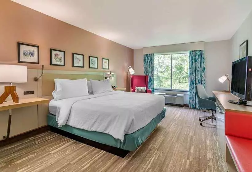 سوئیت با تخت بزرگ, Hilton Orange County/costa Mesa