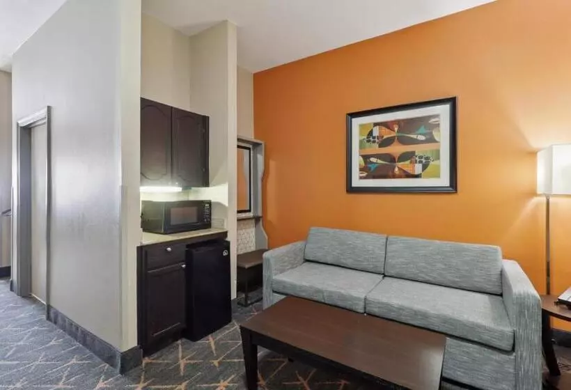 Sviitti Liikuntarajoitteisille, Holiday Inn Hotel & Suites Slidell, An Ihg