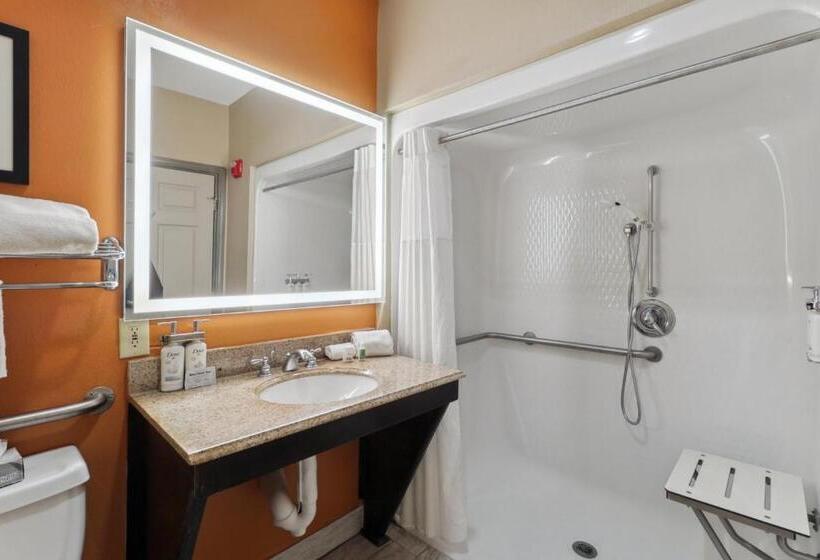 غرفة قياسية سرير كينج لذوى الإحتياجات الخاصة, Holiday Inn Hotel & Suites Slidell, An Ihg