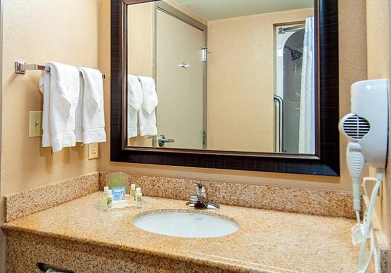 غرفة إدارية سرير كينج, Holiday Inn Hotel & Suites Slidell, An Ihg