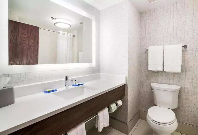 キングサイズベッドのスタンダードルーム, Holiday Inn Express   Plymouth, An Ihg