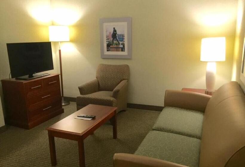 Camera Standard Letto King Accessibile ai persone con mobilità ridotta, Holiday Inn Memphis University Of Memphis, An Ihg