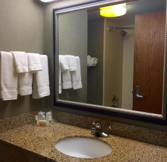 סוויטה מותאמת לאדם עם מוגבלויות, Holiday Inn Memphis University Of Memphis, An Ihg