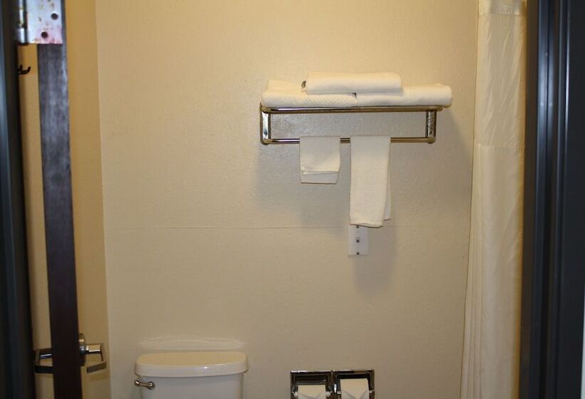 Suíte Cama King, Quality Inn & Suites Wichita Falls I 44