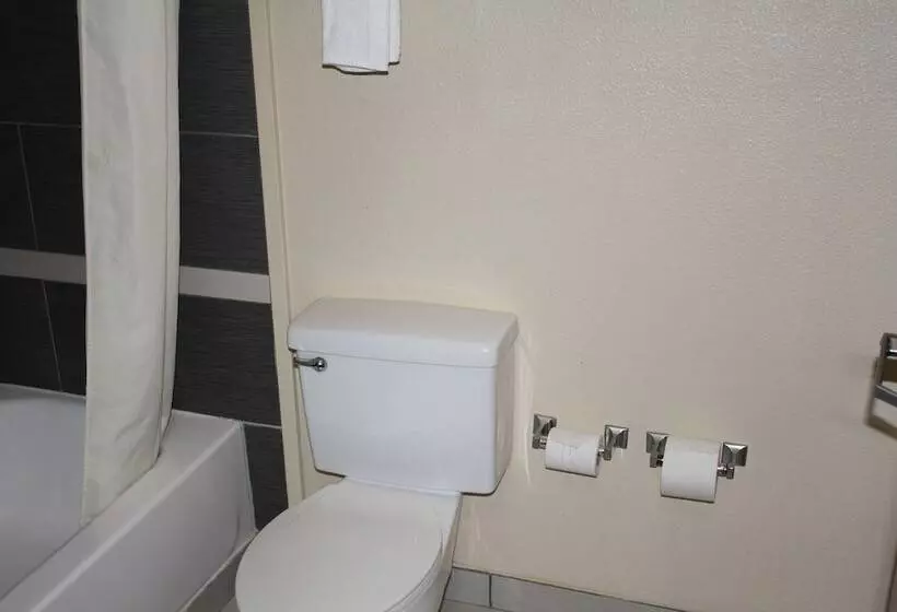 Sviitti King-vuode, Quality Inn & Suites Wichita Falls I 44