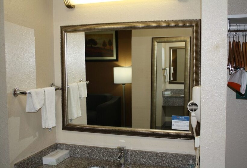 스위트 킹사이즈 침대, Quality Inn & Suites Wichita Falls I 44
