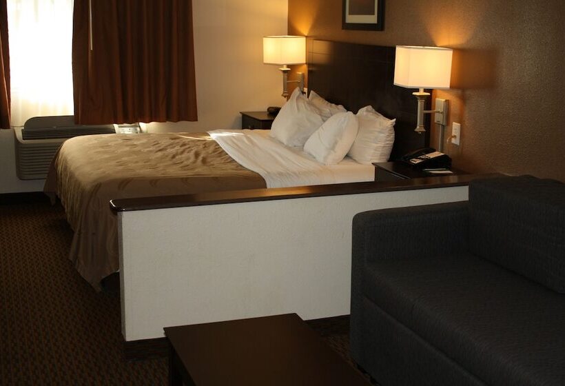 جناح سرير كينج, Quality Inn & Suites Wichita Falls I 44