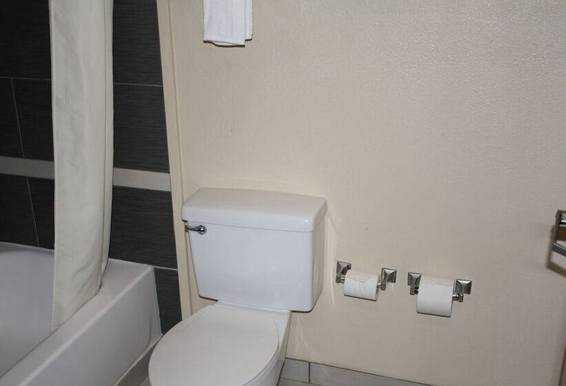 Suíte, Quality Inn & Suites Wichita Falls I 44