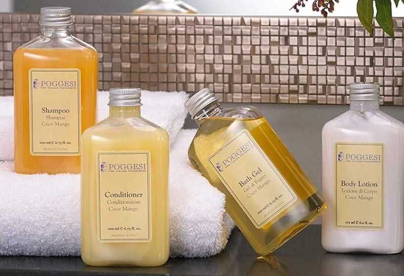 デラックスルーム, Sonesta Atlanta Airport South