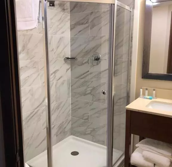キングサイズベッドのデラックスルーム, Wingate By Wyndham Grove City