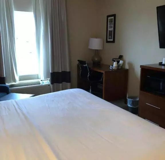 キングサイズベッドのデラックスルーム, Wingate By Wyndham Grove City