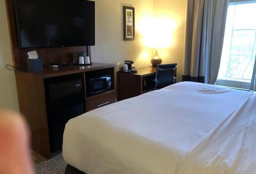 适合残疾人士使用的带超级大床的标准间, Wingate By Wyndham Grove City