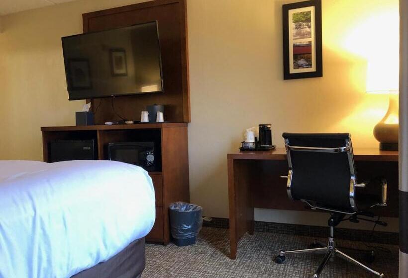 Номер Стандарт Кровать Кинг Адаптированный для Инвалидов, Wingate By Wyndham Grove City