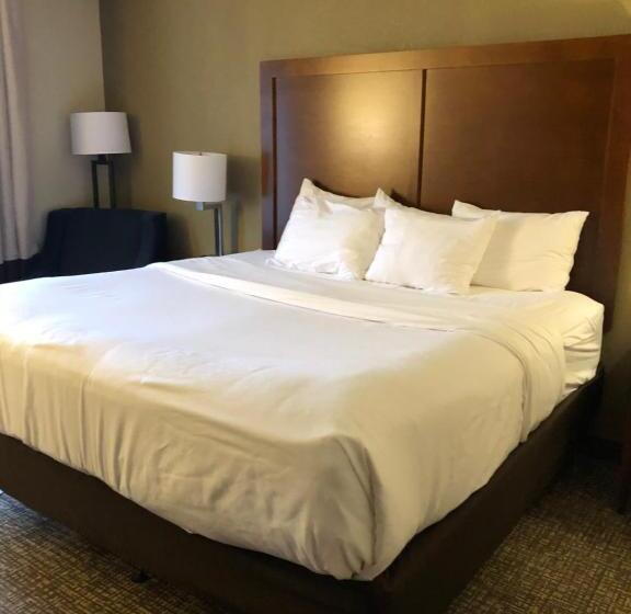 Номер Стандарт Кровать Кинг Адаптированный для Инвалидов, Wingate By Wyndham Grove City