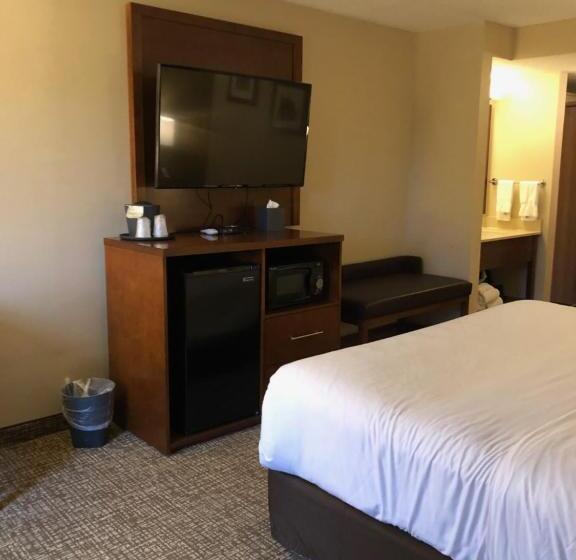 Стандартный Номер Кровать Кинг, Wingate By Wyndham Grove City