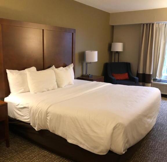 带大床的标准间, Wingate By Wyndham Grove City