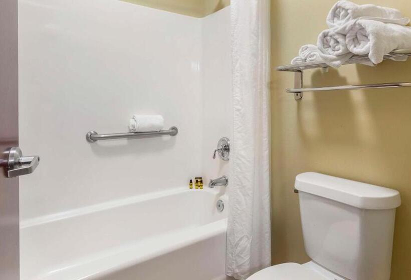 اتاق استاندارد با تخت بزرگ, Best Western Plus Wilmington/carolina Beach