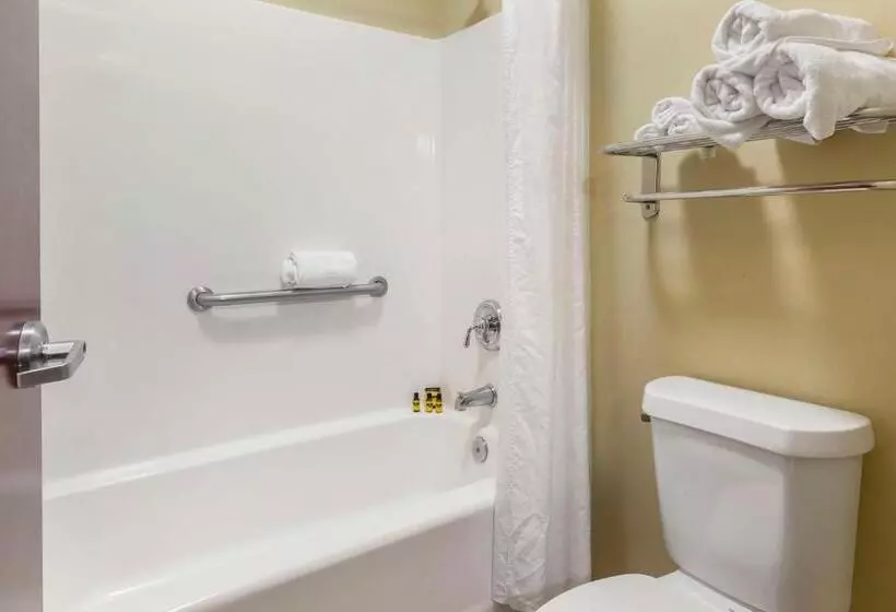 キングサイズベッドのスタンダードルーム, Best Western Plus Wilmington/carolina Beach
