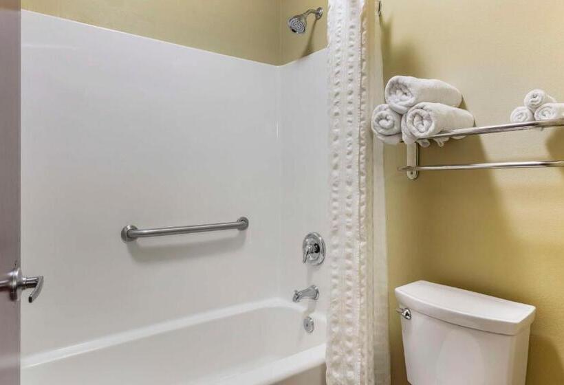 اتاق استاندارد با 2 تخت دوبل, Best Western Plus Wilmington/carolina Beach