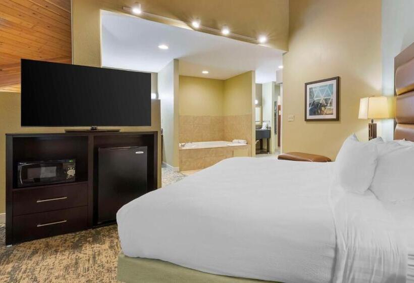 سوئیت با تخت بزرگ, Best Western Plus Wilmington/carolina Beach
