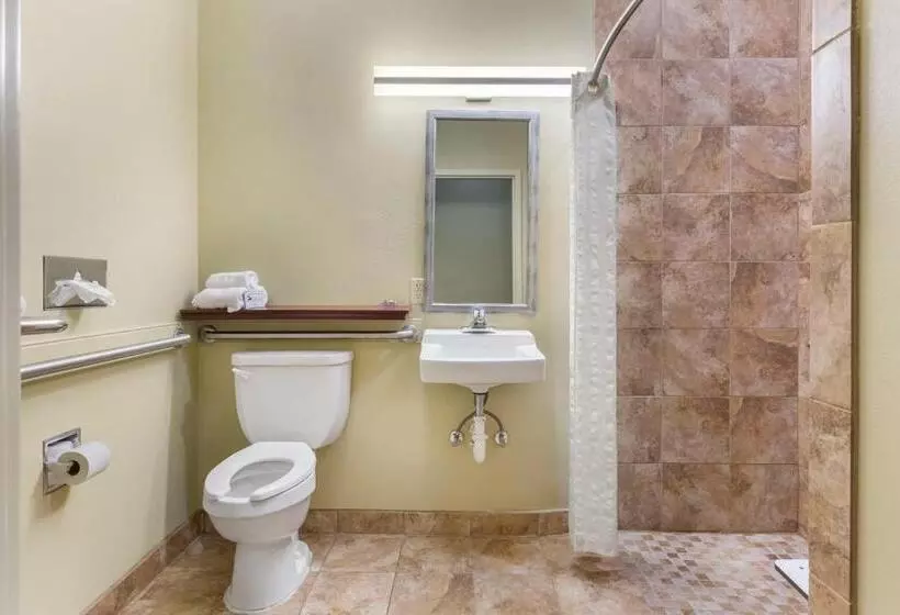 身障者適用スタンダードルーム, Best Western Plus Wilmington/carolina Beach