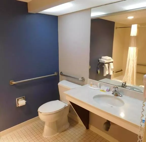 اتاق استاندارد با تخت بزرگ, Days Inn By Wyndham Fargo