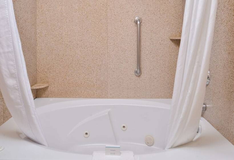 סוויטה עם ג'קוזי, Hampton Inn & Suites Boise Meridian