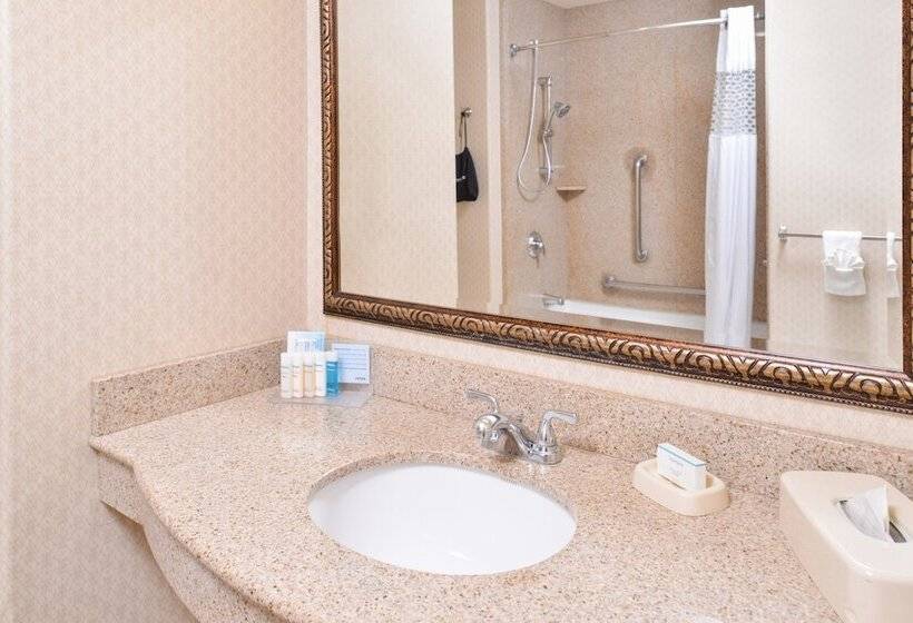 סוויטה עם ג'קוזי, Hampton Inn & Suites Boise Meridian