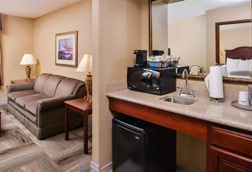 ハイドロマッサージバス付きスイート, Hampton Inn & Suites Boise Meridian