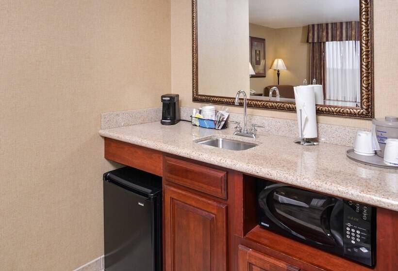 جناح مزود بجاكوزى, Hampton Inn & Suites Boise Meridian