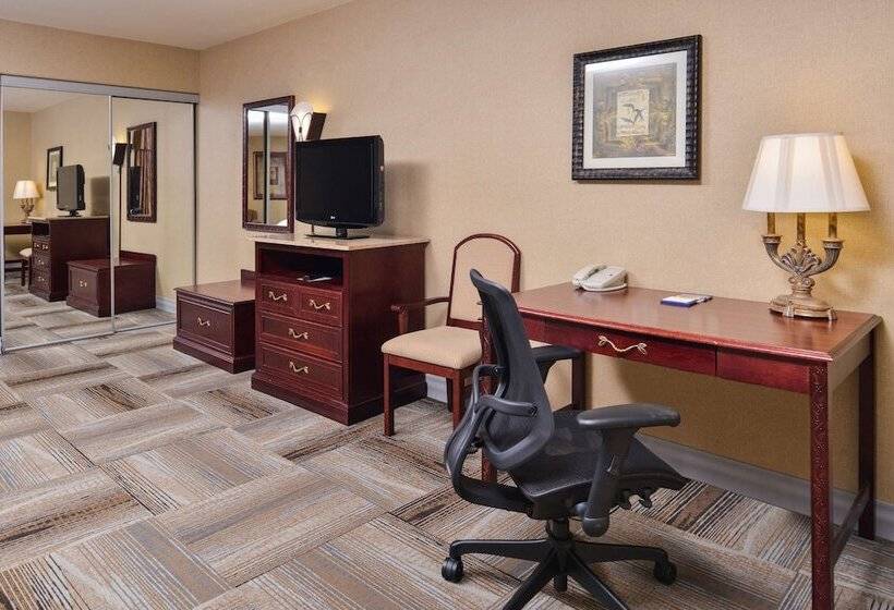 סוויטה עם ג'קוזי, Hampton Inn & Suites Boise Meridian