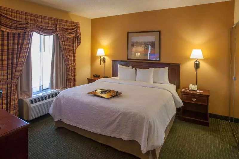 سوئیت با تخت بزرگ, Hampton Inn & Suites Stillwater