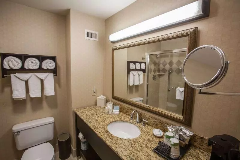 اتاق استاندارد با تخت بزرگ, Hampton Inn & Suites Stillwater