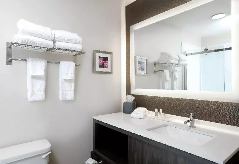 اتاق استاندارد با تخت بزرگ, Hampton Inn Fort Myers Airport & I 75