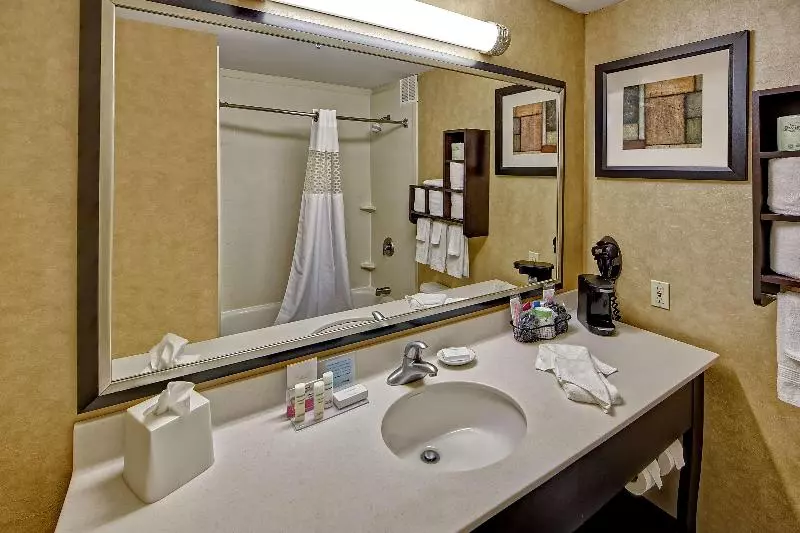 キングサイズベッドのスタンダードルーム, Hampton Inn Laurinburg