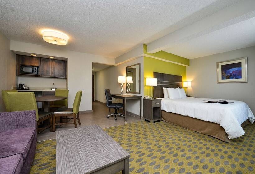 Полулюкс, Hampton Inn Myrtle Beachnorthwood