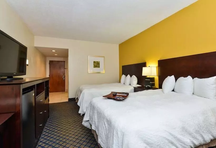 اتاق استاندارد با 2 تخت دوبل, Hampton Inn By Hilton Petersburg Ft. Gregg Adams