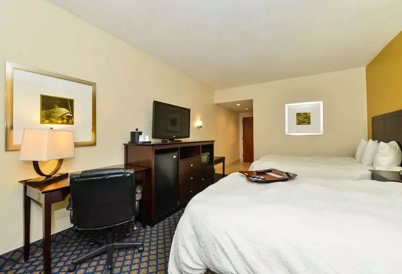اتاق استاندارد با 2 تخت دوبل, Hampton Inn By Hilton Petersburg Ft. Gregg Adams