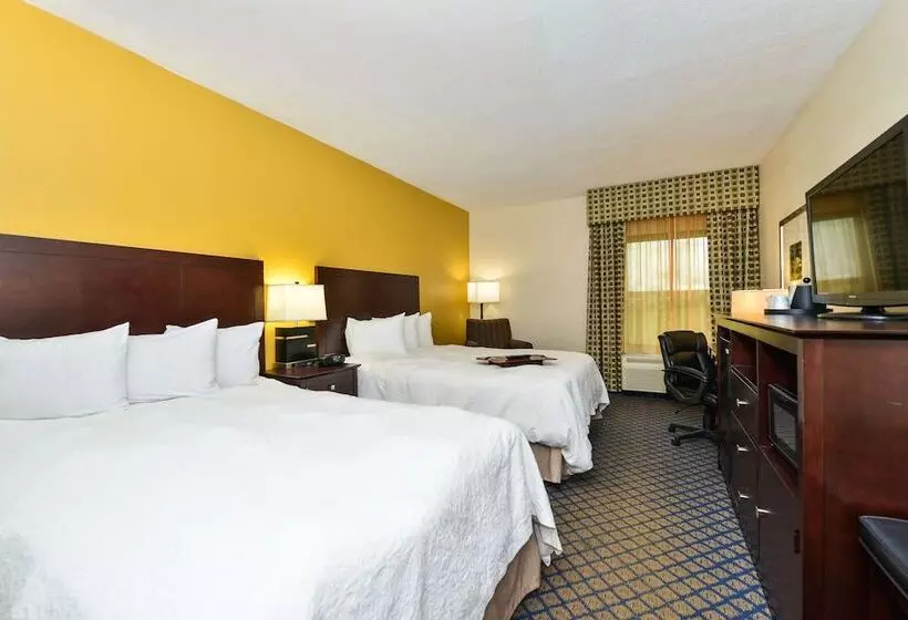 اتاق استاندارد با 2 تخت دوبل, Hampton Inn By Hilton Petersburg Ft. Gregg Adams