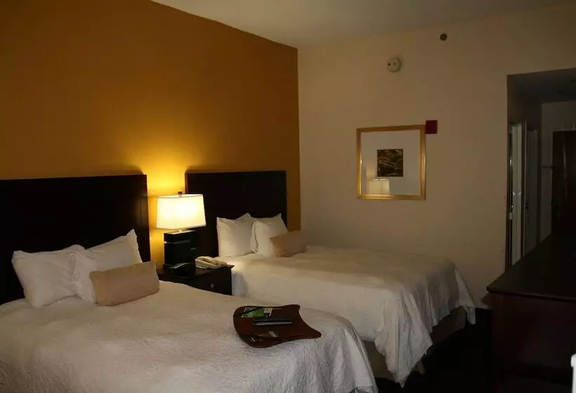 اتاق استاندارد با 2 تخت دوبل, Hampton Inn By Hilton Petersburg Ft. Gregg Adams