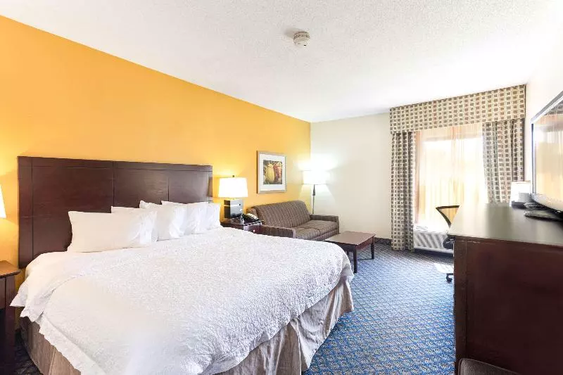 اتاق استاندارد با تخت بزرگ, Hampton Inn By Hilton Petersburg Ft. Gregg Adams