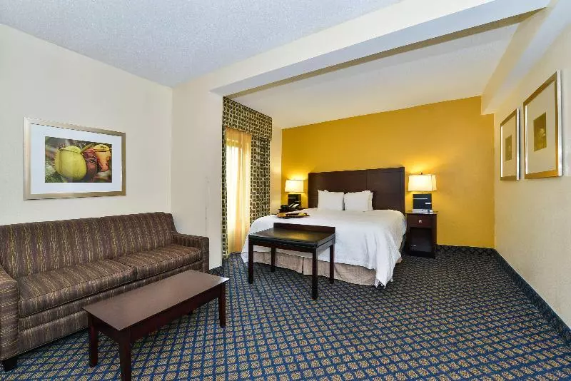 اتاق استاندارد با تخت بزرگ, Hampton Inn By Hilton Petersburg Ft. Gregg Adams