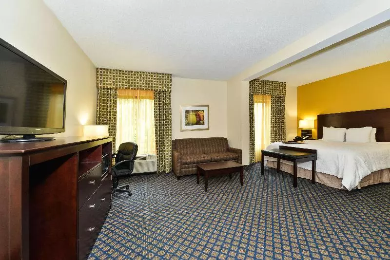 اتاق استاندارد با تخت بزرگ, Hampton Inn By Hilton Petersburg Ft. Gregg Adams